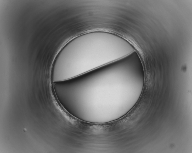 X0000097960898200803241039