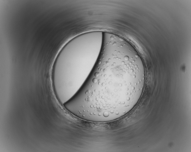 X0000097960899200803241039