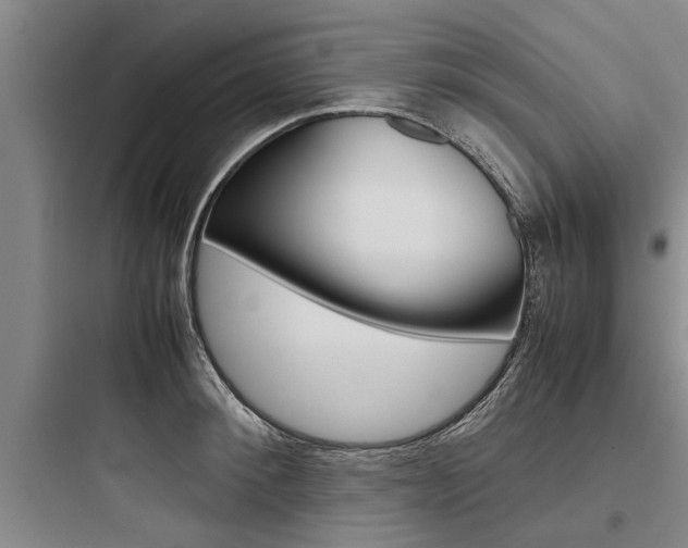 X0000097960900200803241039