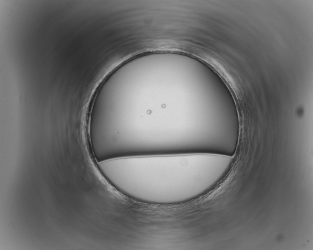 X0000097960901200803241039
