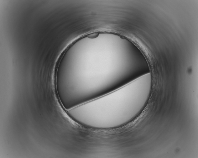 X0000097960902200803241039