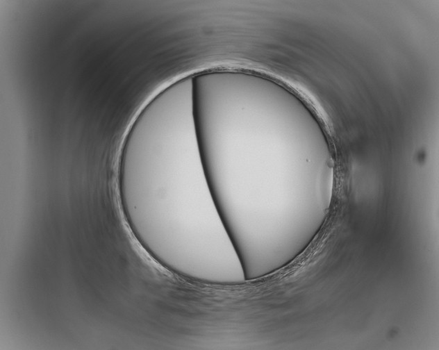 X0000097960903200803241039
