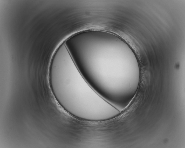 X0000097960904200803241039