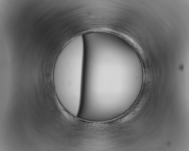 X0000097960905200803241039