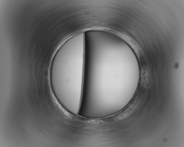 X0000097960906200803241039