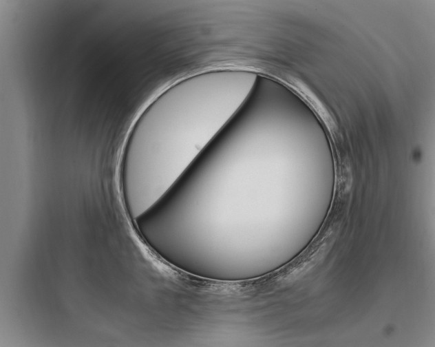 X0000097960909200803241039