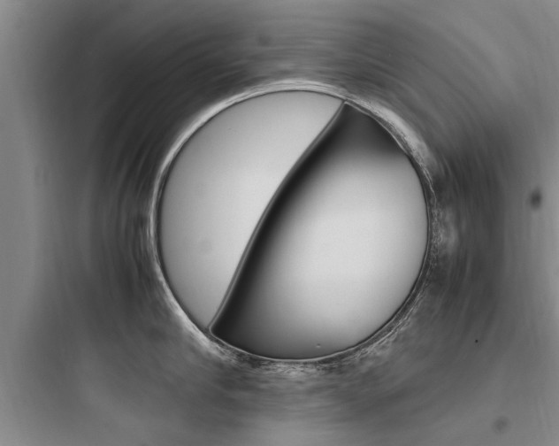 X0000097960910200803241039
