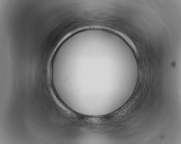 X0000097960911200803241039