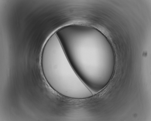 X0000097960912200803241039