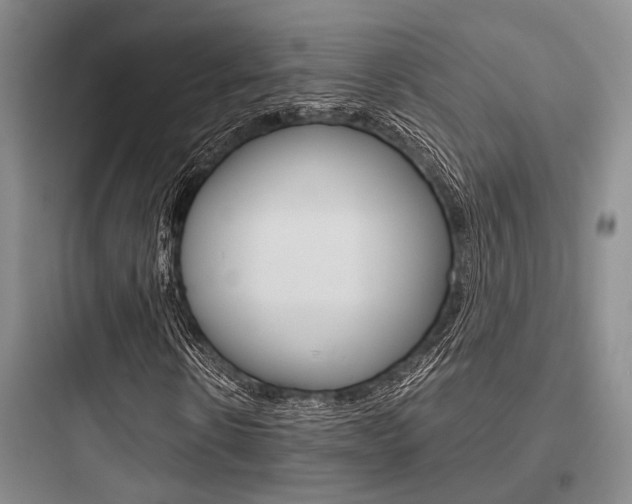 X0000097960914200803241038