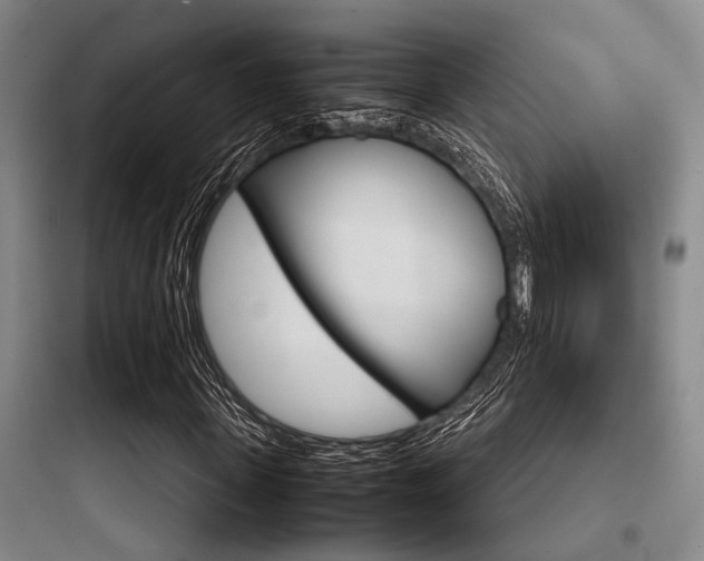 X0000097960915200803241038