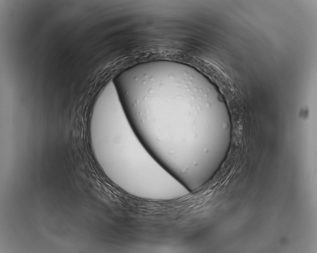X0000097960917200803241038