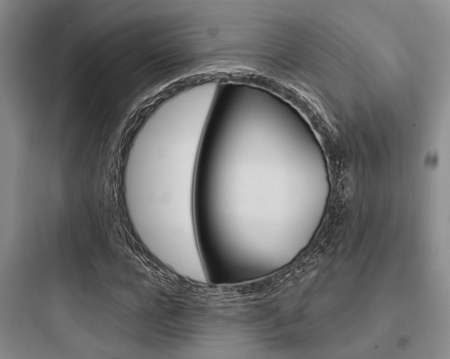 X0000097960920200803241038