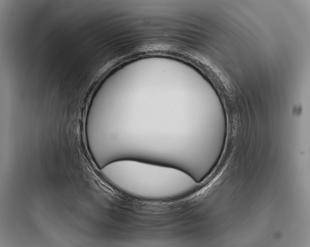 X0000097960921200803241038