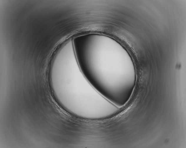 X0000097960922200803241038