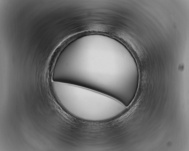 X0000097960923200803241038
