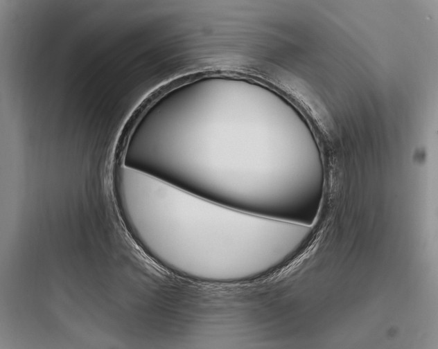 X0000097960924200803241038