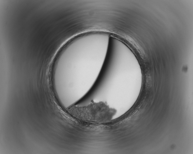 X0000097960926200803241038