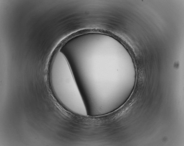 X0000097960927200803241038