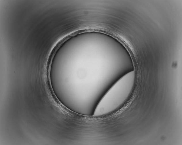 X0000097960928200803241038