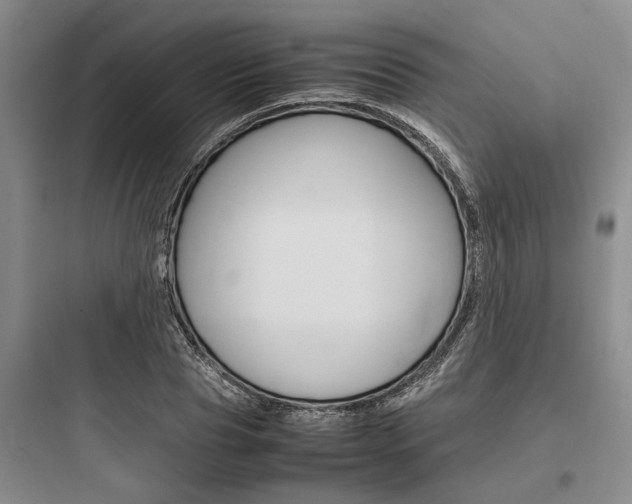 X0000097960929200803241038