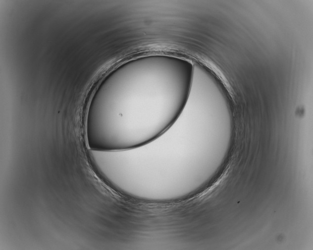 X0000097960930200803241038