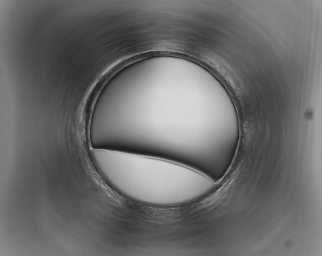 X0000097960931200803241038