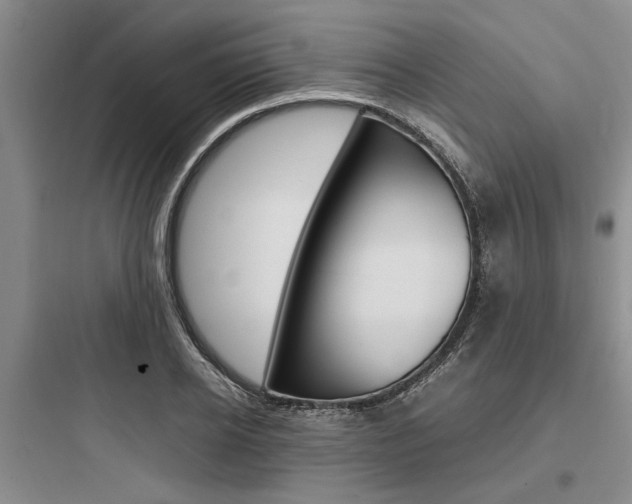 X0000097960934200803241038