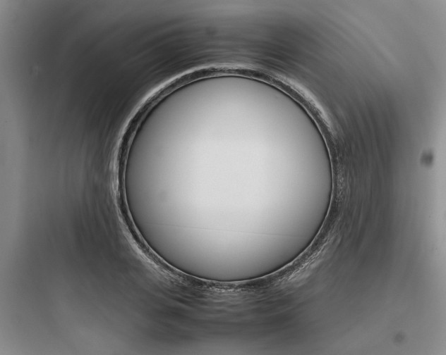 X0000097960935200803241038