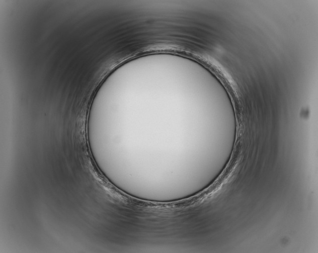 X0000097960937200803241038