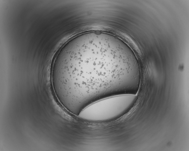 X0000097960938200803241038