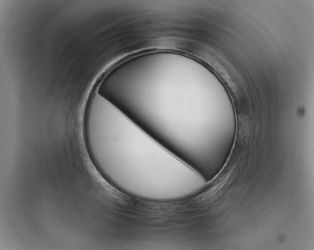 X0000097960939200803241038