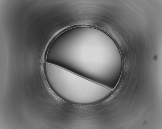 X0000097960940200803241038