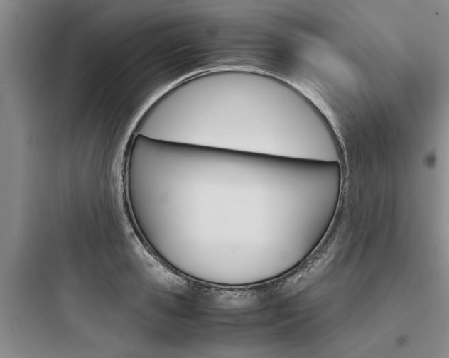 X0000097960941200803241038