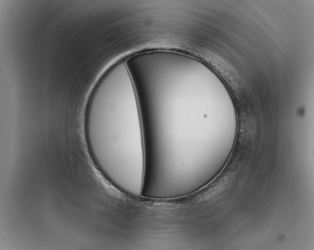 X0000097960942200803241038