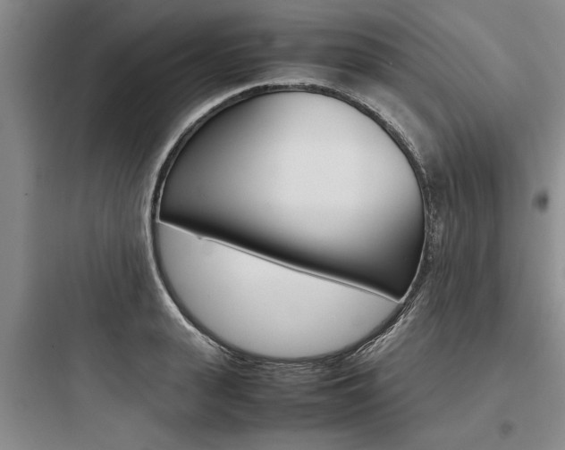 X0000097960943200803241038