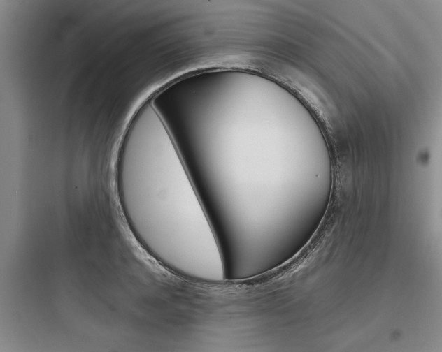 X0000097960944200803241038