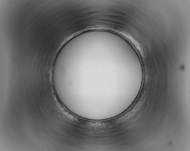 X0000097960945200803241038