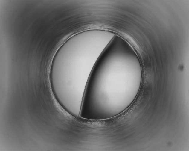 X0000097960946200803241038