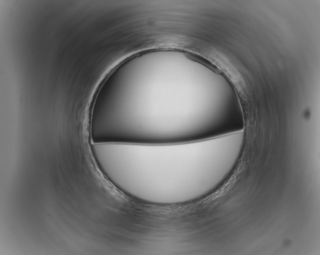 X0000097960948200803241038