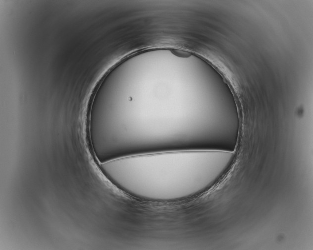 X0000097960949200803241038
