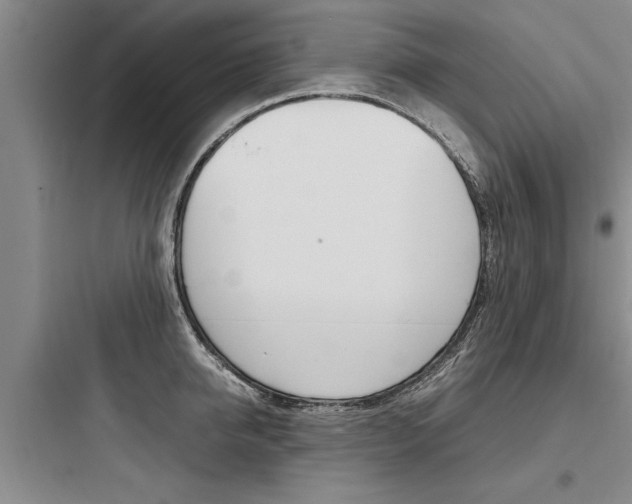 X0000097960950200803241038