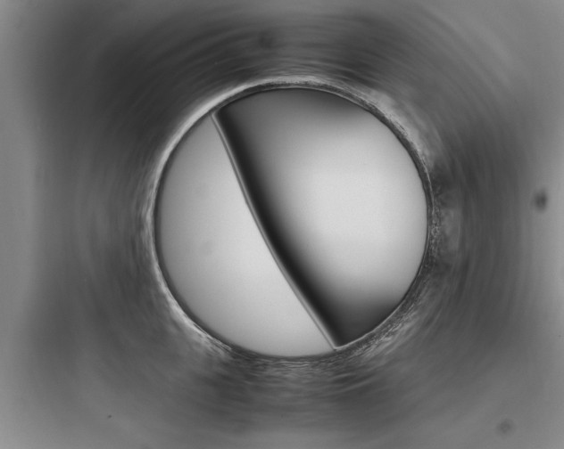 X0000097960951200803241038