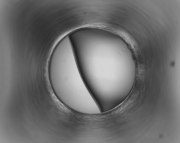 X0000097960952200803241039