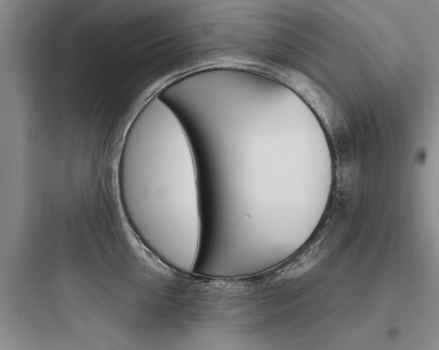 X0000097960954200803241039