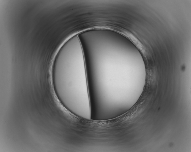 X0000097960955200803241039