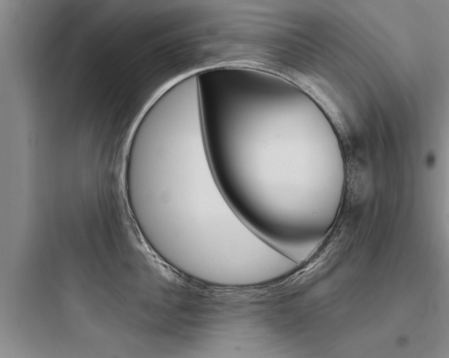 X0000097960956200803241039