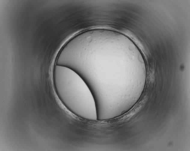 X0000097960957200803241039