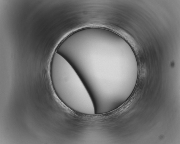 X0000097960958200803241039