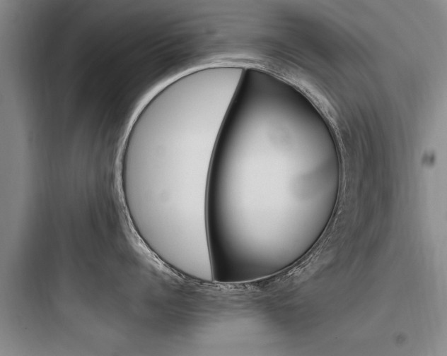 X0000097960960200803241039